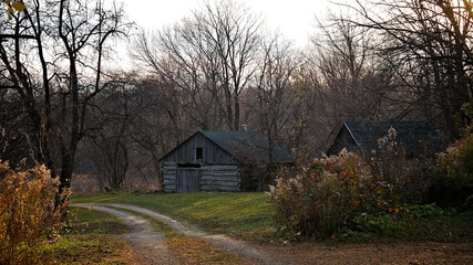 Old weathered logs on a rustic log cabin at sunset