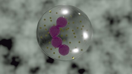 Granulocyte in 3d illustration