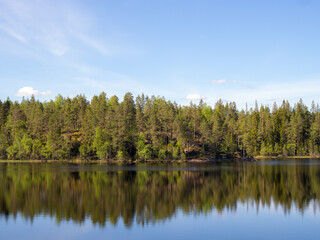 Fototapeta na wymiar forest lake with reflections