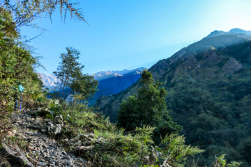 Fototapeta na wymiar A idyllic view on the slopes of Annapurna Circuit Trek in Nepal, overgrown with various trees and bushes. Cloudless, blue sky above. A few high mountain chains in the back. Solitude and calmness