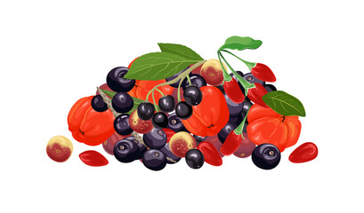 Pile of different tropical berry. Acerola, maqui berry, acai and goji isolated on white background. Vector illustration in cartoon flat style.