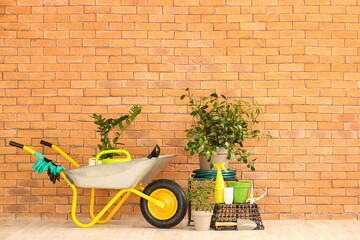 Fototapeta na wymiar Set of gardening supplies near brick wall