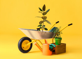 Set of gardening supplies on color background