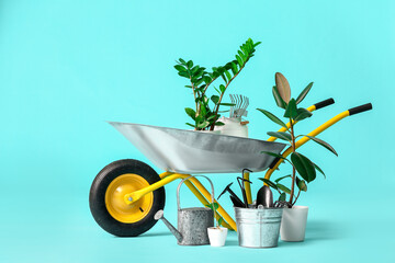 Set of gardening supplies on color background