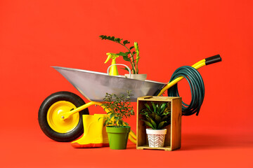 Set of gardening supplies on color background