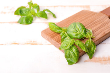Cutting board and fresh green basil on wooden background