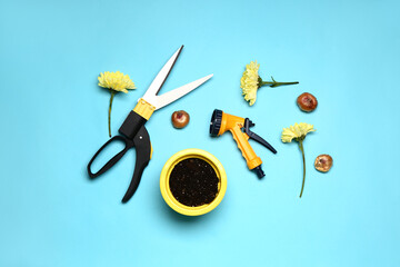 Set of gardening supplies on color background