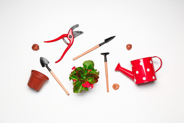 Set of gardening supplies with plant on white background