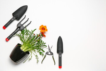 Set of gardening supplies with plant on white background