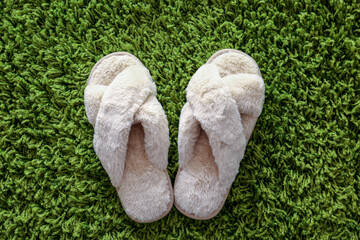 Pair of soft slippers on carpet in room