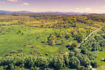 Fototapeta na wymiar Panoramic view of mountains valley. Green fields and trees in spring on a sunny day. View from above. Zakarpattia Oblast, Ukraine, Europe
