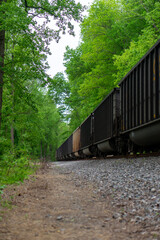 Obraz premium railway in the forest