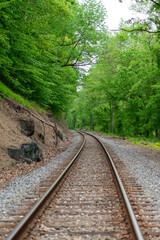 railway in the forest