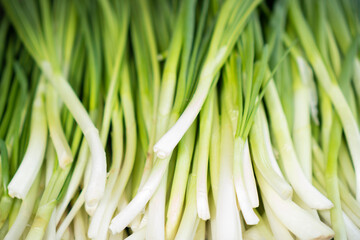 fresh green onion