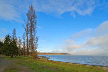 Lake Taupo, New Zealand. Bare poplar trees grow on the shore. On the misty horizon are the...