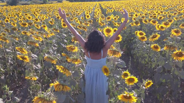 Blue dressed woman is opening arms to sky at sunflower field. She is relaxing and enjoying the countryside