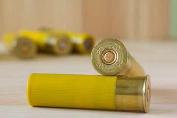 Hunting cartridges for shotgun
