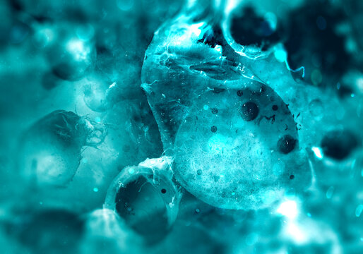 Cells through electron microscope (shallow dof)