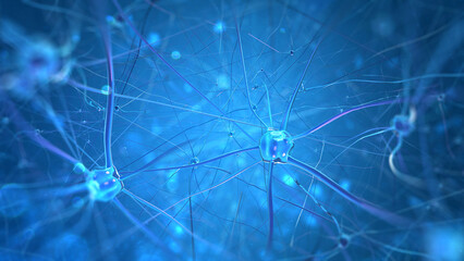 Neurons and nervous system