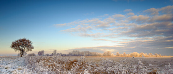 Winterlicher Himmel in der Hammeniederung