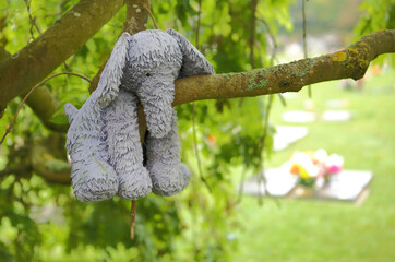 Image of a grey soft stuffed elephant toy on a tree branch,hanging above a grave in a cemetery, as a symbol of grief and remembrance.
