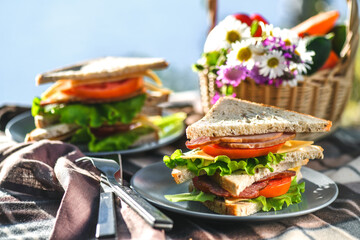 Picnic with sandwiches in park or forest. Toast bread, cheese, ham, sausage, tomatoes, salad leaves. Weekend party, sunny day