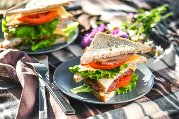 Picnic with sandwiches in park or forest. Toast bread, cheese, ham, sausage, tomatoes, salad leaves. Weekend party, sunny day