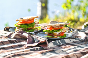 Picnic with sandwiches in park or forest. Toast bread, cheese, ham, sausage, tomatoes, salad leaves. Weekend party, sunny day