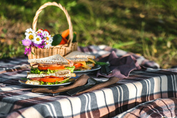 Picnic with sandwiches in park or forest. Toast bread, cheese, ham, sausage, tomatoes, salad leaves. Weekend party, sunny day