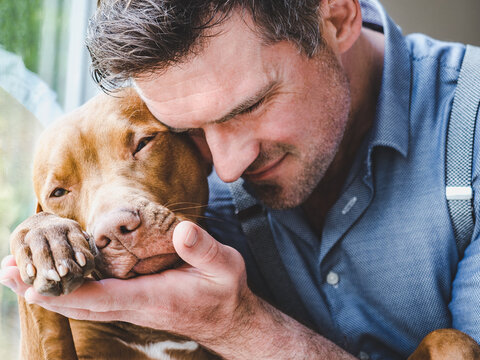 Handsome man hugging a charming puppy. Close-up, indoors. Studio photo, white color. Concept of care, education, obedience training and raising pets