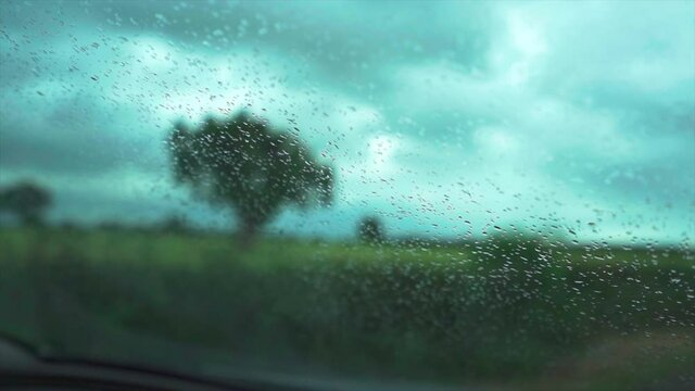 Moving slow motion shot through a tinter windscreen with rain and blurred tree background