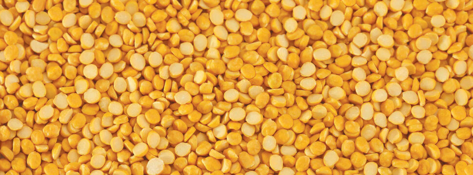 Split Chickpea Also Know as Chana Dal, Yellow Chana Split Peas, Dried Chickpea Lentils or Toor Dal - taxtures - Image