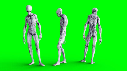 Alien isolate on green screen. UFO concept. Realistic 3d rendering.