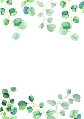 Eucalyptus watercolor botanical illustration for decoration