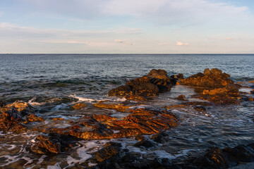 nature around the elba island