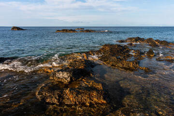 nature around the elba island