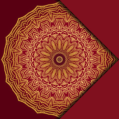 Mandala background. Vector illustration. For book cover
