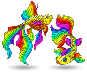 Set of stained glass elements with rainbow aquarium fishes , fish isolated on white background