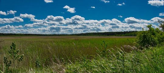 Rozległa polana © michalsen