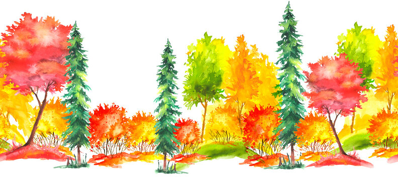 Seamless watercolor pattern. Autumn landscape, forest, park. Silhouettes of trees and bushes. Linear curb. Mixed forest - oak, ash, maple, birch, pine, cedar, spruce. Manual graphics. Handmade drawing