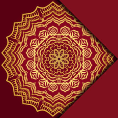 Mandala background. Vector illustration. For book cover