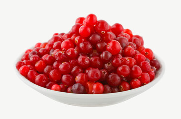 Fresh red cranberries