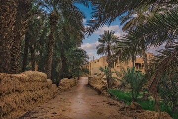 Mud houses and palms of an old village in Saudi Arabia