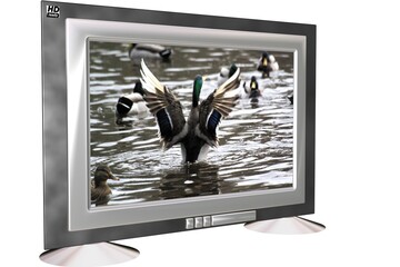 télévision 3d