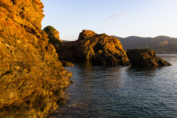 nature around the elba island
