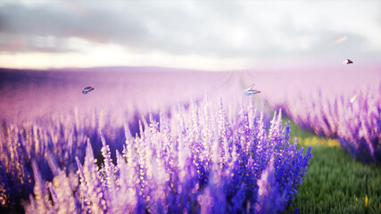 butterflies in lavender field. concept of nature. 3d rendering.