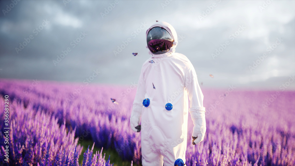 Wall mural astronaut with butterflies in lavender field. concept of future. broadcast. 3d rendering.