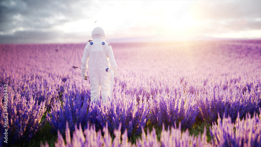 Sticker astronaut with butterflies in lavender field. concept of future. broadcast. 3d rendering.