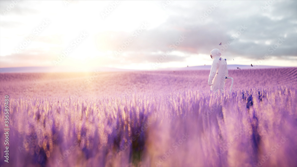 Wall mural astronaut with butterflies in lavender field. concept of future. broadcast. 3d rendering.