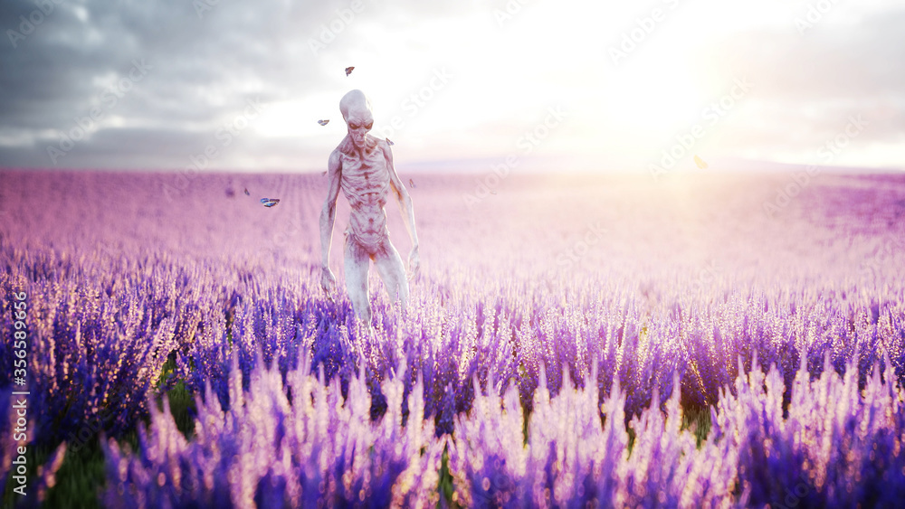Poster alien with butterflies in lavender field. concept of ufo. 3d rendering.